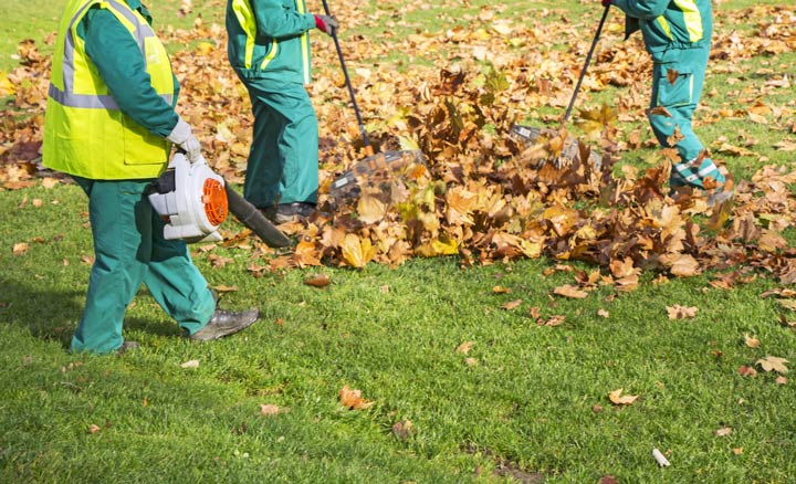fall-clean-up-raking
